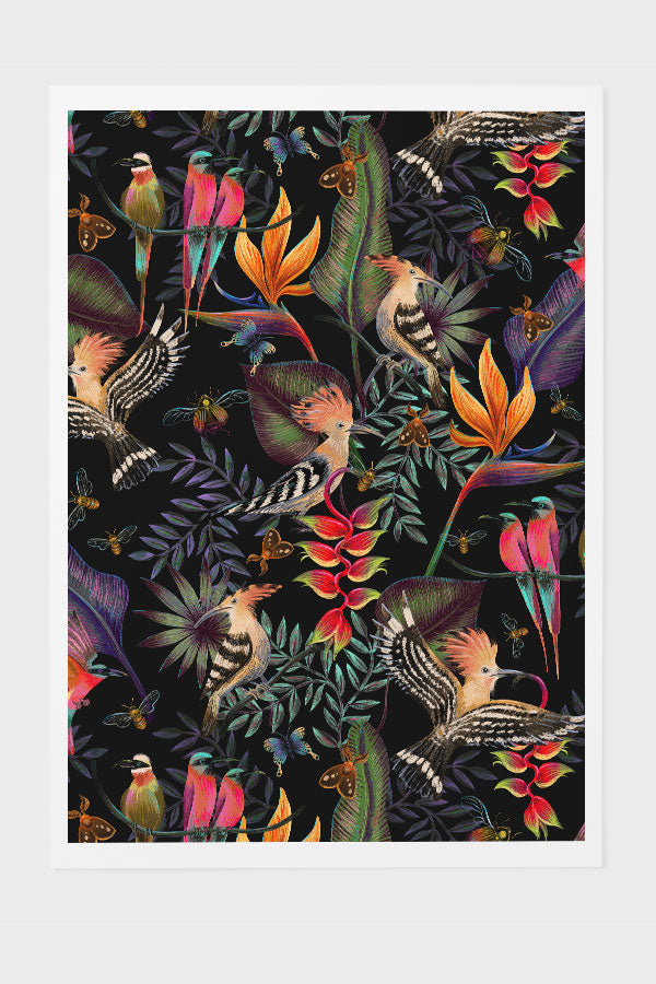 Hoopoes and Bee Eaters Giclée By Rebecca Elfast Art Print Poster (Black) | Harper & Blake