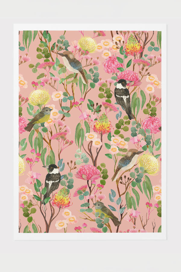 Australian Birds and Blooms by Cecilia Mok Giclée Art Print Poster (Blush Pink) | Harper & Blake